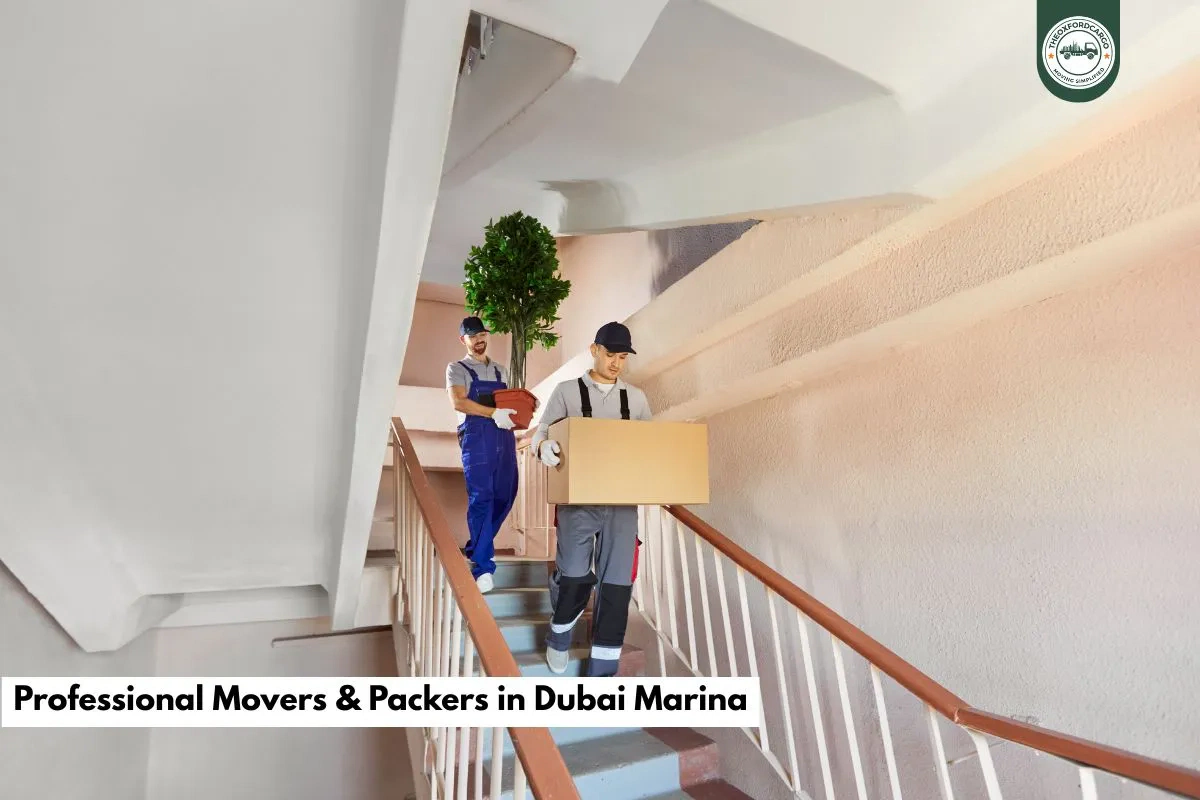 Movers and Packers in Dubai Marina